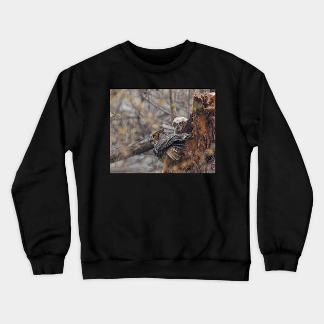 Great Horned Owl Watches For Danger With an Owlet At Its Nest Crewneck Sweatshirt by jbbarnes